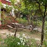 La Provence * 耶尔