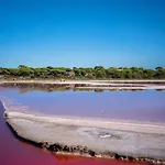 La Provence 耶尔
