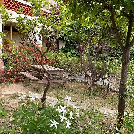 La Provence * Hyères