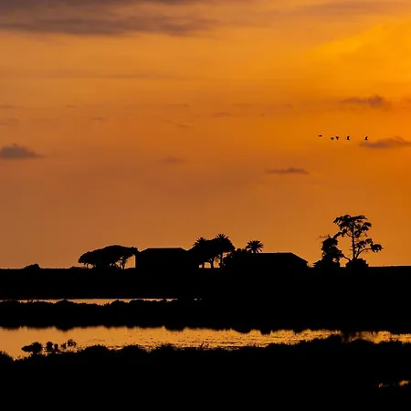 La Provence Apartment Hyères
