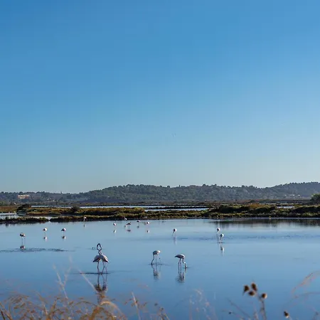 Apartment La Provence Hyères