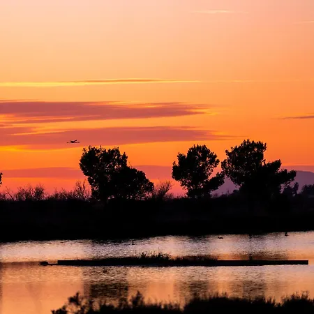 La Provence * הייר