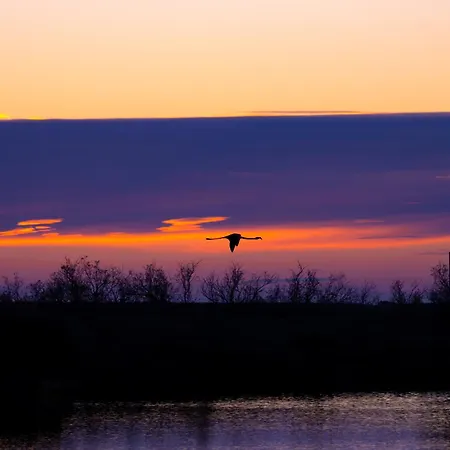 La Provence הייר